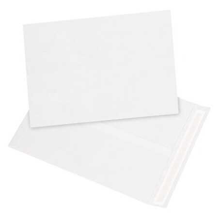 Bsc Preferred 12 x 15-1/2'' White Flat Tyvek Envelopes, 100PK BUY00017838